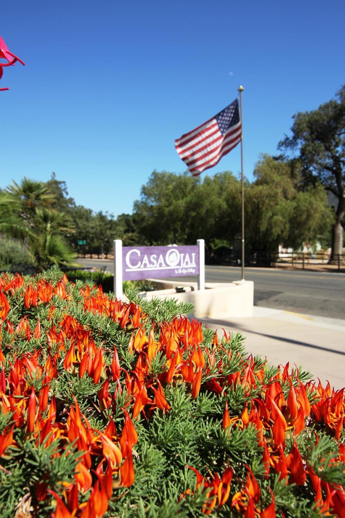 Casa Ojai Inn Eksteriør bilde